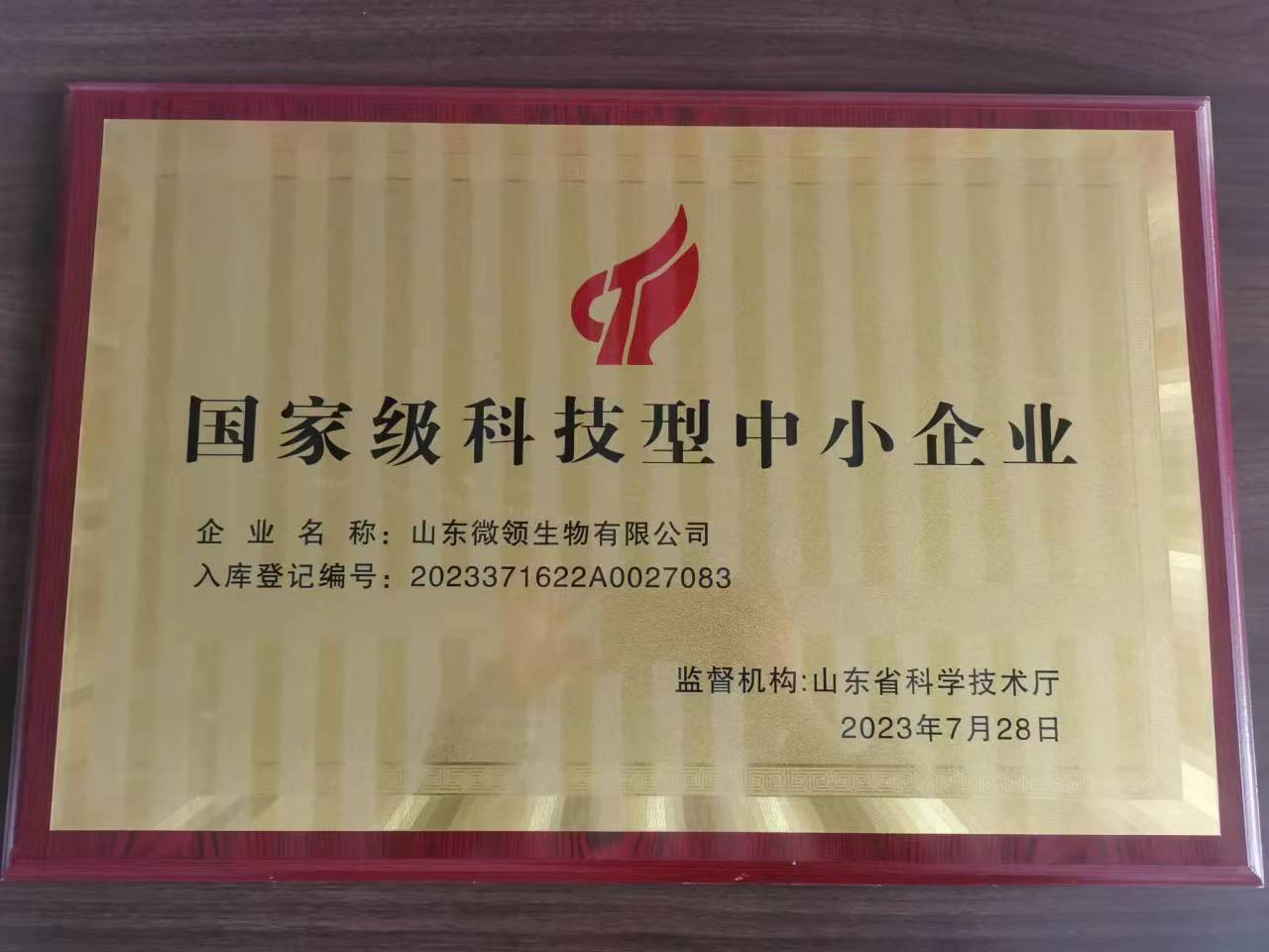 国家级科技型中小企业